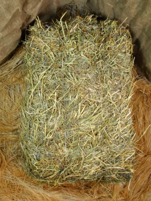 Луговое сено в тюках