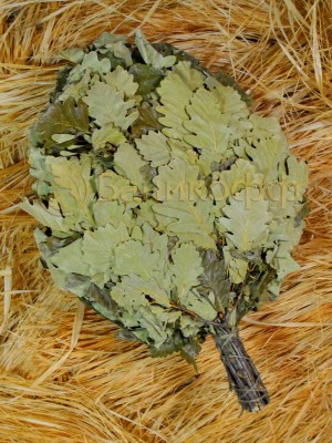 Веник из кавказского дуба