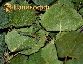 Как вязать веники для бани