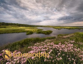 Сила лета