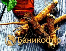 Зрим в корень